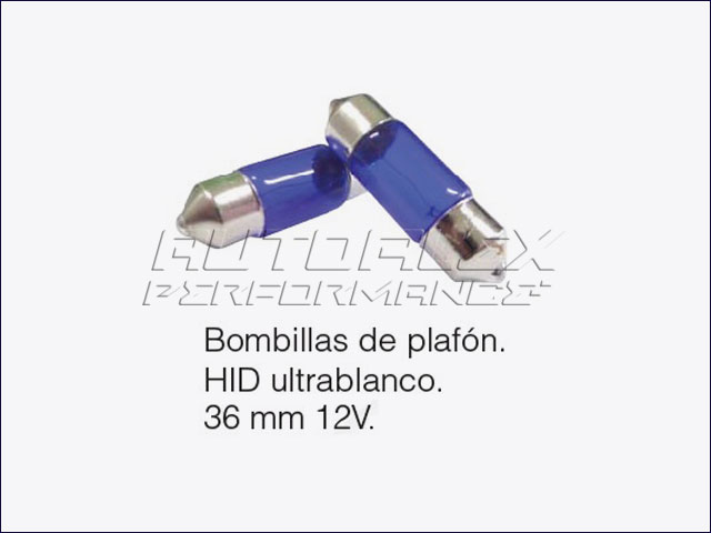 Bombillas de Plafón 36MM