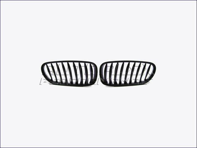 Rejillas Delante BMW Z4