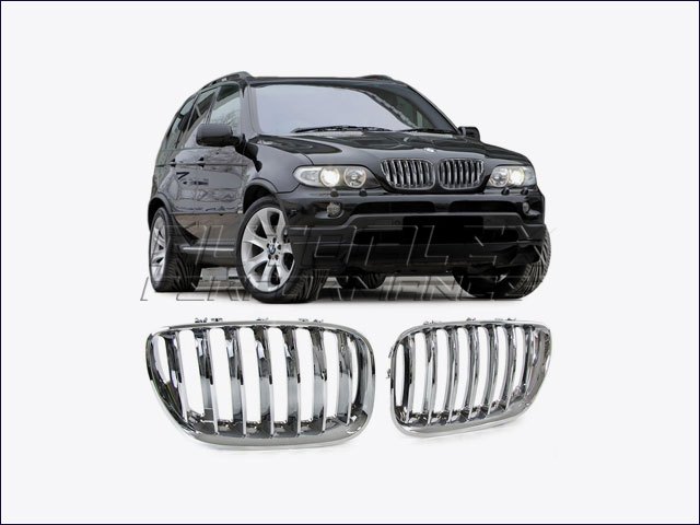 Rejillas Delante BMW X5 E53