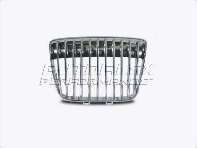 Rejilla Delante Seat