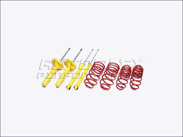 Suspensión Deportiva Audi