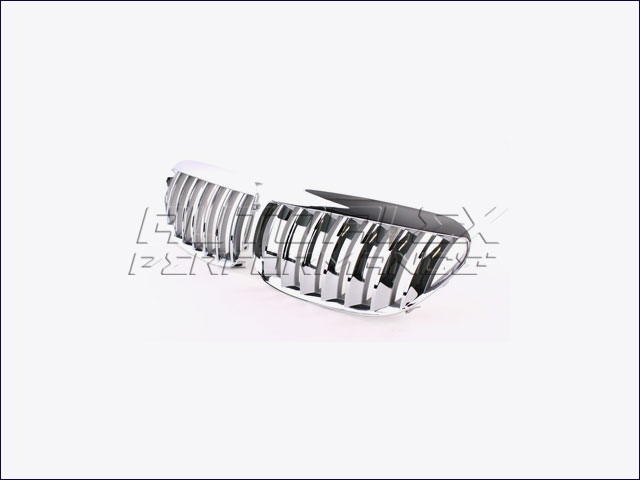 Rejillas Delante BMW E63 + E64