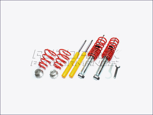 Suspension Coilover Audi 100 + A6