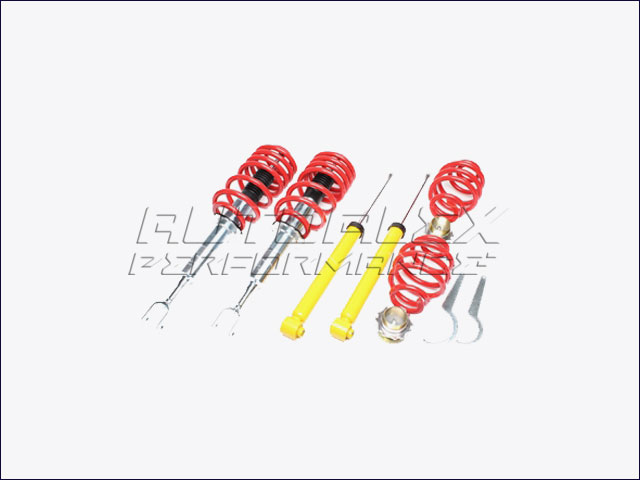 Suspensión Coilover Audi / Seat