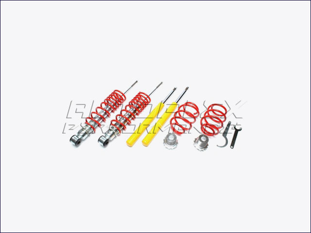 Suspension Coilover Audi 80