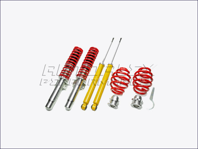 Suspensión Coilover BMW E46
