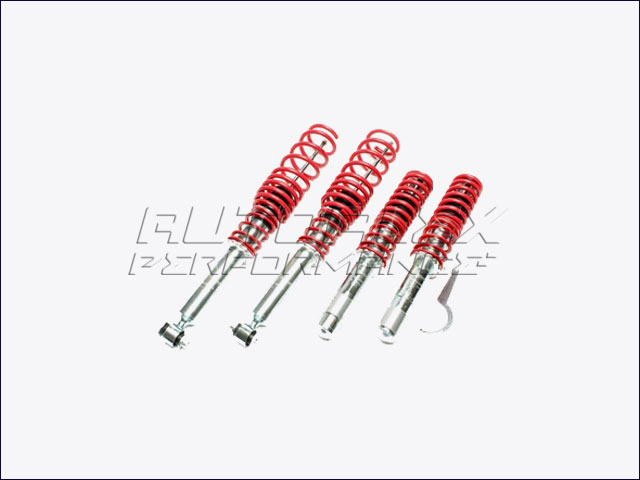 Suspensión Coilover BMW E39