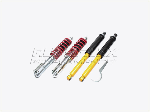 Suspension Coilover Renault 19