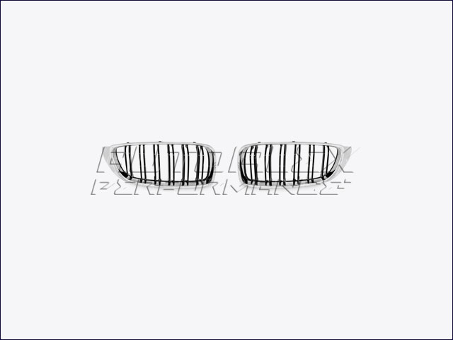 Rejillas Delante BMW