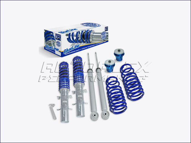 Suspension Coilover Seat Leon + Toledo