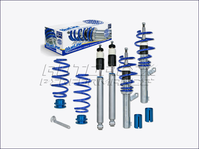 Suspension Coilover Seat Leon