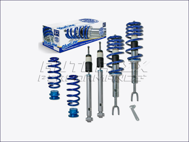 Suspension Coilover Seat Exeo