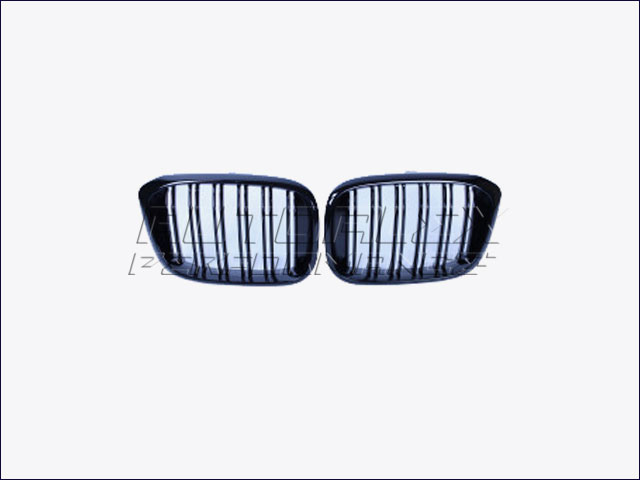 Rejillas Delante BMW X3 G01 + X4 G02