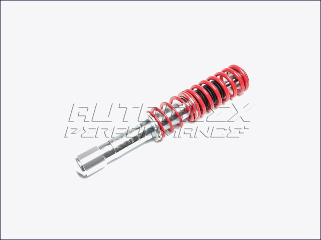 Amortiguador Delantero Coilover BMW E39 / E60